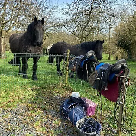 Vallee De La Vire - Au Calme Avec Jardin 45 Min Mont-saint-michel * Souleuvre-en-Bocage
