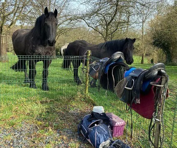 Vallee De La Vire * Souleuvre-en-Bocage